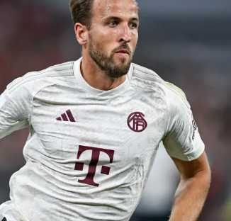 庭提供了一 庭提供了一